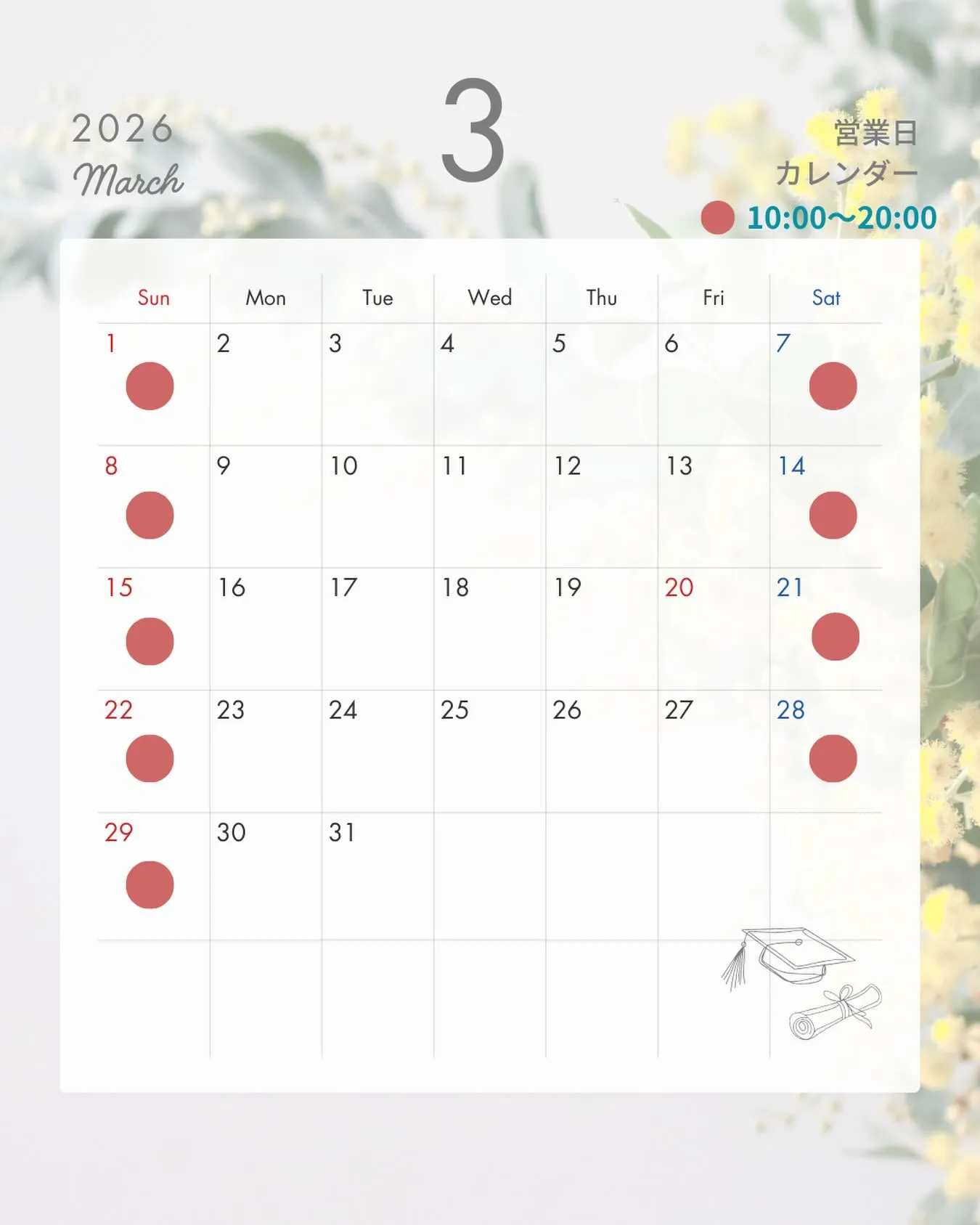 🌸春のゆらぎを、やさしく整える3月🌸